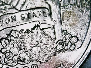 2008-P Arizona State Quarter - Extra Cactus Leaf Error RARE COIN - Picture 1 of 4