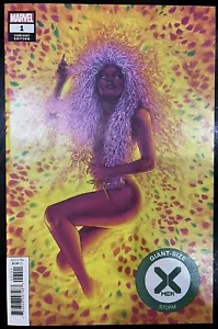 Marvel Comics Giant Size X-men Storm #1 2020 Jen Bartel Gorgeous Variant NM - Picture 1 of 3