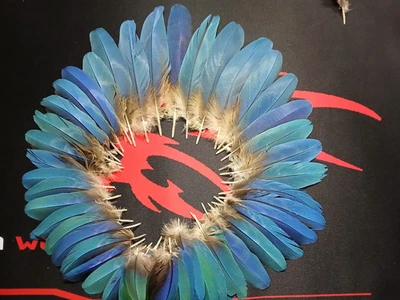 plumas de guacamayo Foto 1 de 3