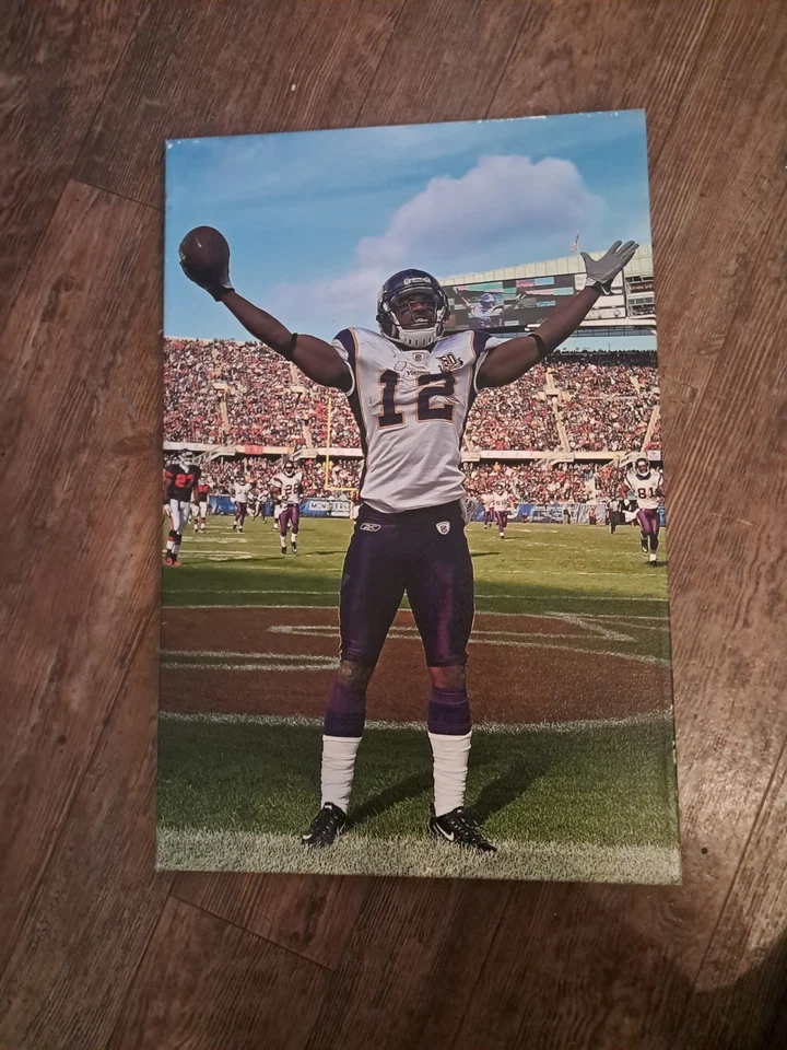 Foto en lienzo de Percy Harvin Minnesota Vikings 1 pie 4 pulgadas × 2 pies  Foto 1 de 4