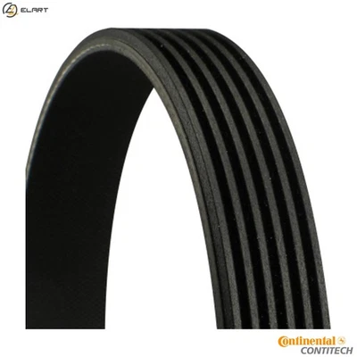 CINTURÓN ACANALADO 6PK1293 PARA SEAT TOLEDO/Mk/II AUDI 100/5000 A6/S6 AGZ 2.3L 5cyl 100 Foto 1 de 4