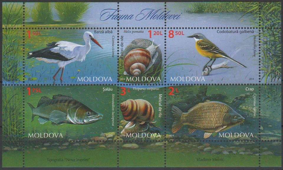 Moldavia Fauna Birds 2014 cigüeña blanca Western amarillo wagtail peces MNH Foto 1 de 1