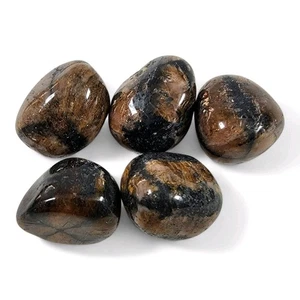 Chiastolite Andalusite Crystal Cross Polished Stones 54.4 grams. - Picture 1 of 1