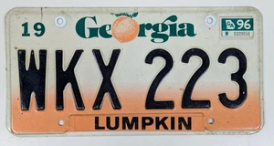Oldtimer Original Georgia Nummernschild Lumpkin County 1990 91 92 93 94 95 96 97 - Bild 1 von 2
