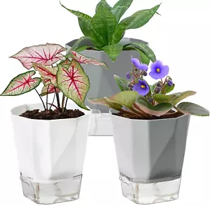 3 Pack Self Watering Planter Pots, 4.9 Inch African Violet Pots for Indoor Outdo - Picture 1 of 12