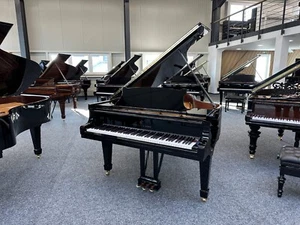 Steinway Flügel, A-188, generalüberholt, 5 J. Garantie, Top Zustand - Bild 1 von 11