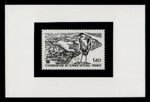 Photo Essay, France Sc1746 Bird, Sea Shore Conservation. - Picture 1 of 1