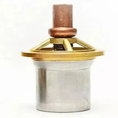 Комплект клапанов термостата 2117074 для воздушного компрессора Gardner Denver 1 шт. - Изображение 1 из 2