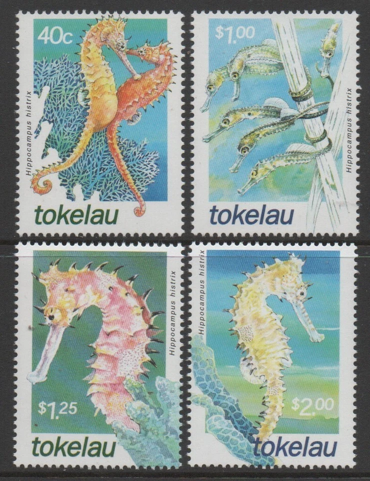Juego de 4 caballos de mar Tokelau Is 2001 MUH Foto 1 de 1