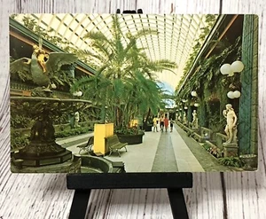 Clearwater Florida Kapok Tree Inn Restaurant Entrance Mall FL Postcard - Picture 1 of 4