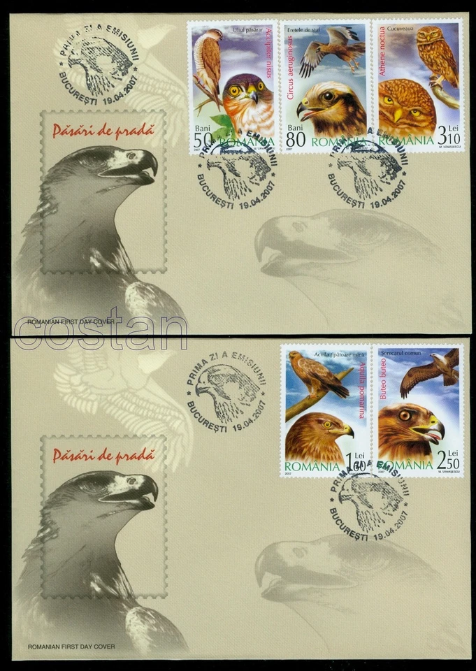 2007 Birds of Prey,Owl,Eagle,Hawk,Buzzard,Rapaces,Raubvögel,Romania,Mi.6184,FDC - Image 1 of 1