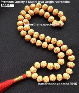 Calidad Superior 6 Cuentas Mukhi (Rostro) Rudraksh Mala Rudraksha-54-13 mm~Certificado - Imagen 1 de 2