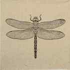 4X Single Paper Napkins For Decoupage And Party - We Care Dragonfly