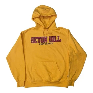 Sudadera con Capucha Seton Hill University Griffins Adulto Mediana Marca Campeón Y2K - Imagen 1 de 10