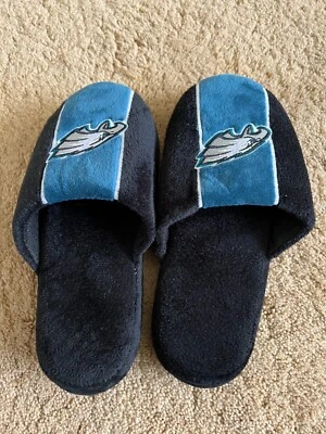 Zapatillas grandes Philadelphia Eagles NFL para niños 5-6 usadas Foto 1 de 4