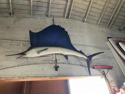 soporte de pared pez vela Foto 1 de 2