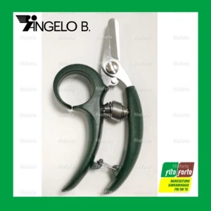 FORBICE COGLI FRUTTI AGRUMI CON ANELLO ANGELO BERGAMASCO ANGELO B. FORBICI - Foto 1 di 1