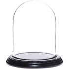 Plymor 4" x 5.25" Glass Display Dome Cloche (Black Wood Veneer Base)