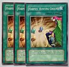 Yugioh - Harpies' Hunting Ground X3 - Mixed Sets - Common - Lp