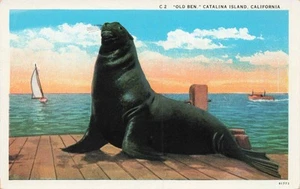 "Old Ben" Catalina Island California PC vintage non spedito - Foto 1 di 2