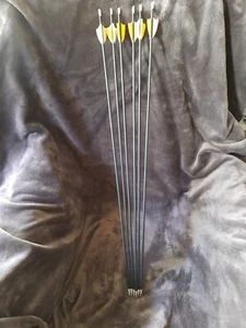 set of six arrows archery 1000 spine - Picture 1 of 3