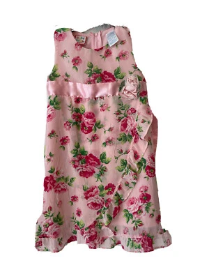 Vestido Baby Togs Rosa Sin Mangas Rosa Floral Rosas Satinado Tul Capas 3T Foto 1 de 4