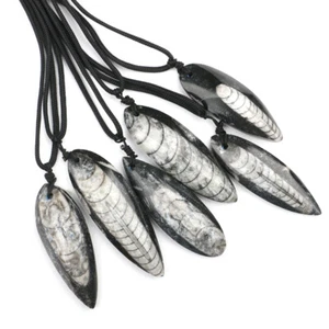 4~6cm Orthoceras Fossil Necklace - From Morocco - 400 Million Years Old - Picture 1 of 11