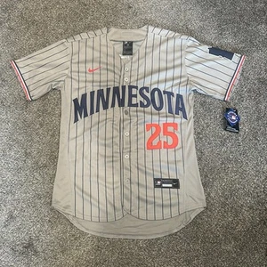 Adult Small Byron Buxton Minnesota Twins Gray Pinstriped Jersey - Picture 1 of 2