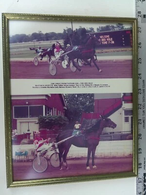Arnés de carreras de caballos 1983 8x10 foto real Martha's Arnette Red Mile M. Zeller Foto 1 de 4