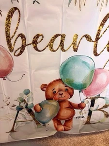 Photography Background Gender Reveal Pregnancy - Picture 1 of 4