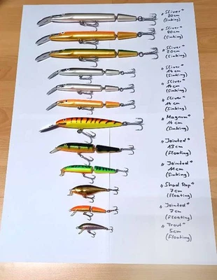 12 original Rapala Wobbler - Bild 1 von 4