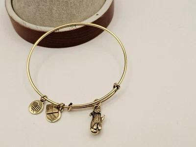 Brazalete Brazalete Alex and Ani "Sea Otter Ocean Wildlife" Oro ✨️ Foto 1 de 4