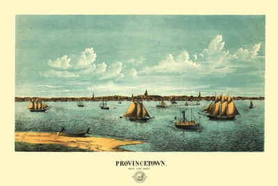 马萨诸塞州普罗温斯敦 1877 年全景城镇旧地图墙艺术 - 海报 20 英寸 x 30 — 第 1/3 张图片