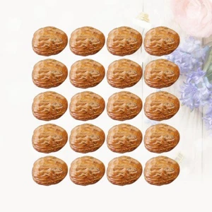 Artificial Walnut Photo Props 20Pcs Realistic Models for Display Use - Picture 1 of 12