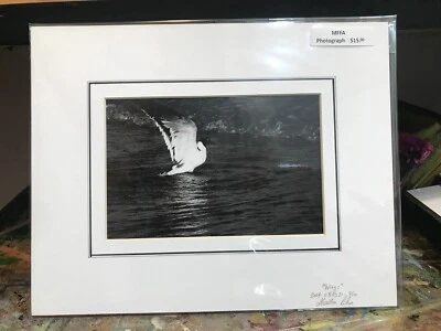 Fotografía mate en blanco y negro firmada 8 x 10 pulgadas pájaro estanque granja rural Foto 1 de 2