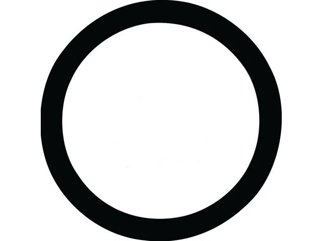 Thermostat O-Ring 79YKDY39 for C6000 Topkick C7000 C1500 C15/C1500 Pickup - Image 1 of 1