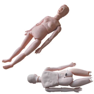 Donna Insegna Modello Studio Formazione Paziente Cura Umana per Scuola Manichino Medico - Foto 1 di 9