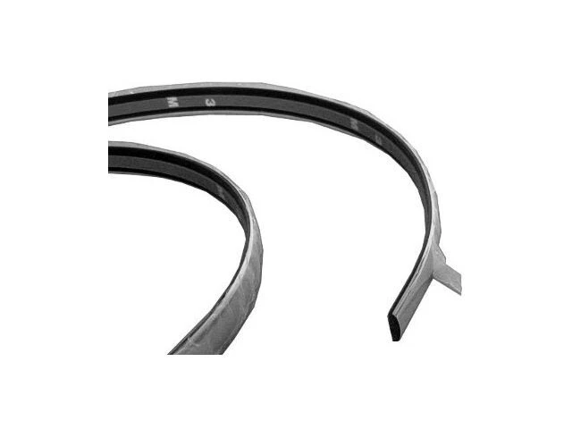 Tira de impacto de parachoques delantero derecho - lado del pasajero para Lumina 1995-2001 87BHP Foto 1 de 1