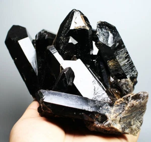 3.45lb Natural Rare Beautiful Black QUARTZ Crystal Cluster Mineral Specimen - Bild 1 von 9