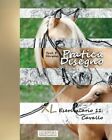 Pratica Disegno   Xl Eserciziario 11 Cavallo Volume 11By Herpers New