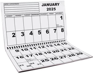 Jumbo Large Print Wall Calendar 2025 - Low Vision - Picture 1 of 12