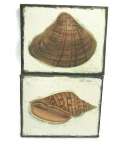 Canvas 2 PC Set Seashells Wall Art Painted Ready 2 Hang Stretched Frame 8" x 10" - Picture 1 of 6