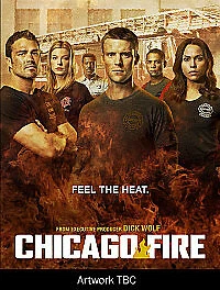 Chicago Fire - Series 2 - Complete (DVD, 2014)