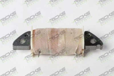 Bobina de carga Ricks para Yamaha DT50 1988-1990 22-903 Foto 1 de 3
