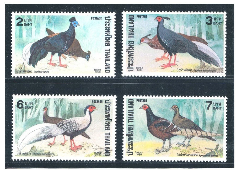 TAILANDIA 1988 Faisán Aves (Fauna) Foto 1 de 1