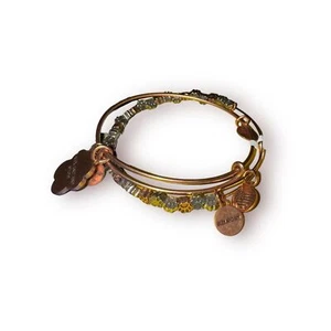 Alex und Ani Armband Liebesarmband Katze Charms und Pfoten - Bild 1 von 8