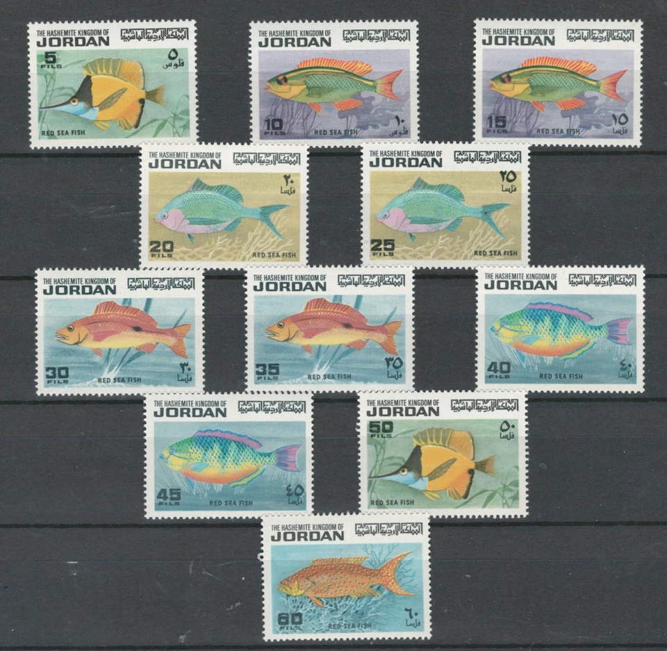 Jordan COMPLETE MNH SET OF FISH STAMPS Sc-758-768 - 1974 LOT (JOR 692) - Image 1 of 1