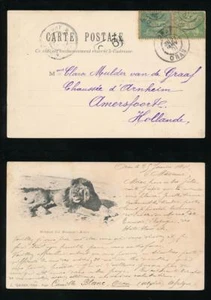 FRENCH COLONIES ORAN 1901 LION EARLY UB PPC + MESSAGE - Picture 1 of 3