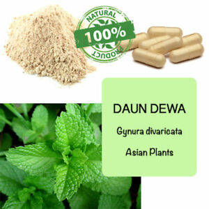 POWDER DAUN DEWA PURE Indonesian Gynura divaricata leaves Organic herbal herb WW