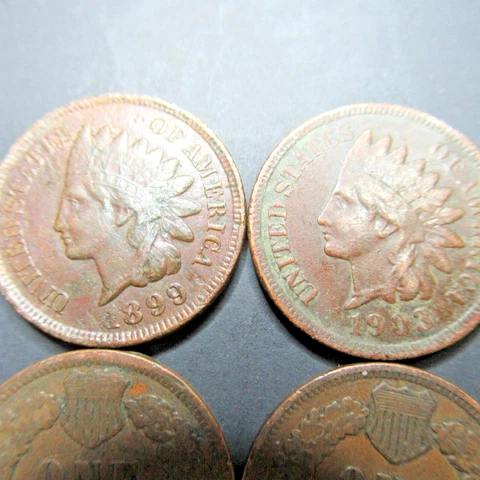 ROLL OF 50 INDIAN HEAD PENNIES FROM MONTANA ESTATE COIN HOARD  R-761 Cover
